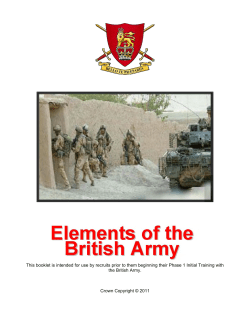 Elements of the British Army PDF 309.40 kb