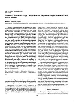 Survey of Thermal Energy Dissipation and Pigment Composition in