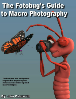 Fotobug-Guide-to-Macro-Photography