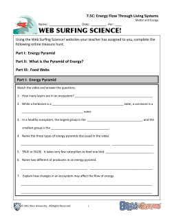 7.5C: Energy Flow Through Living Systems Part I: Energy Pyramid