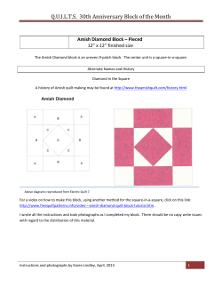 Q.U.I.L.T.S. 30th Anniversary Block of the Month