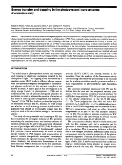 Energy transfer andtrapping in the photosystem I core antenna