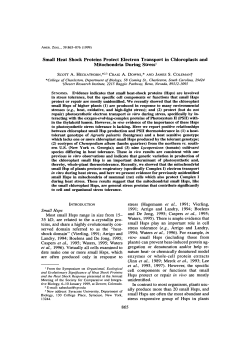 Small Heat Shock Proteins Protect Electron Transport in
