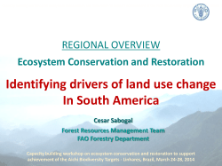 Identifying drivers of land use change In South America