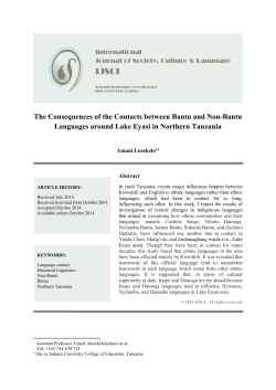 The Consequences of the Contacts between Bantu and Non