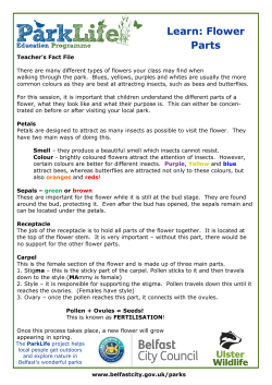 Parklife learn flower parts teacher`s fact file