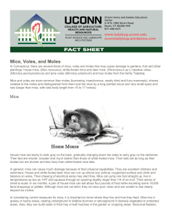 Mice, Voles, and Moles - UConn Home and Garden Education Center