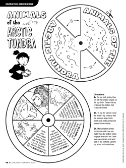 Animals of the Arctic Tundra Reproducible