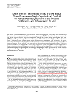 Effect of Micro- and Macroporosity of Bone Tissue Three