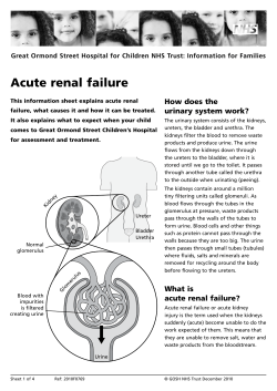 Acute renal failure - Great Ormond Street Hospital
