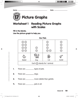 Picture Graphs