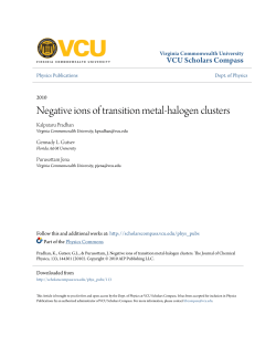 Negative ions of transition metal-halogen clusters