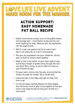 ACTION SUPPORT: EASY HOMEMADE FAT BALL RECIPE