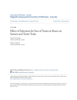 Effect of Selection for Size of Testes in Boars on Semen and Testis