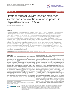 Effects of Prunella vulgaris labiatae extract on specific and non