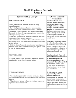 MARE Kelp Forest Curricula Grade 4