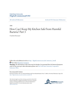How Can I Keep My Kitchen Safe From Harmful Bacteria? Part 3