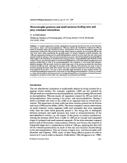 Heterotrophic protozoa and small metazoa