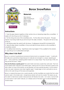 Borax Snowflakes