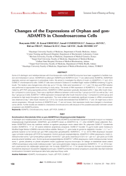 Changes of the Expressions of Orphan and gon