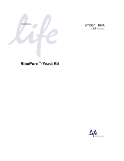 RiboPure&trade;-Yeast Kit - Thermo Fisher Scientific