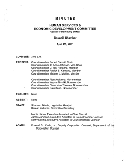 Minutes - County of Maui