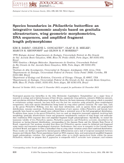 Species boundaries in Philaethria butterflies: an integrative