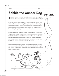 Bobbie the Wonder Dog