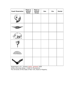 Fossil Illustration Plant or Animal Name Plant or Animal Group Eon