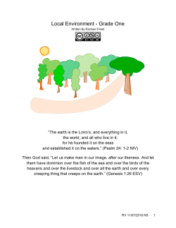 Local Environment - Grade One
