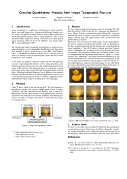 Creating Quadrilateral Mosaics from Image Topographic Features