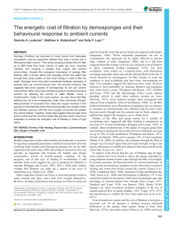 Fig. 2 - Journal of Experimental Biology