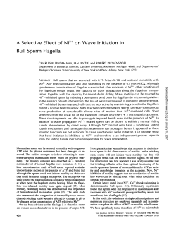 A Selective Effect of Ni" on Wave Initiation in Bull Sperm Flagella