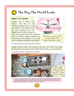 The Way The World Looks