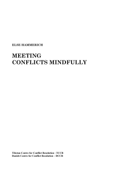MEETING CONFLICTS MINDFULLY