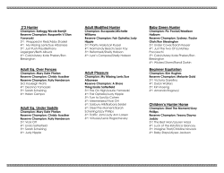 2`3 Hunter Adult Eq. Over Fences Adult Eq. Under Saddle Adult