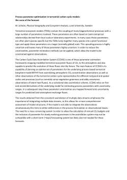Process parameter optimisation in terrestrial carbon cycle