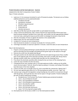 1 Protein Extraction and Gel electrophoresis &ndash; bacteria (adapted