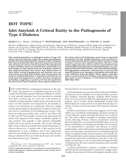 HOT TOPIC Islet Amyloid: A Critical Entity in the Pathogenesis of