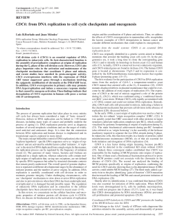 CDC6: from DNA replication to cell cycle