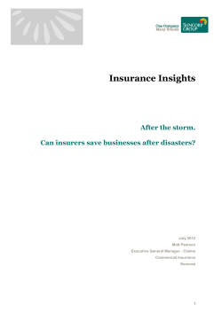 After the storm. Can insurers save businesses after disasters?