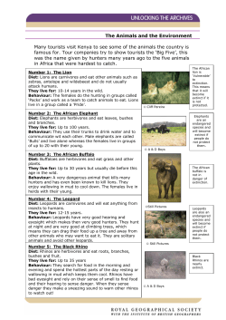 Many tourists visit Kenya to see some of the animals