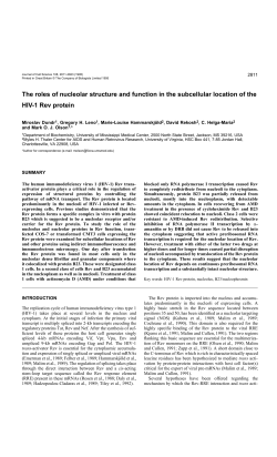The roles of nucleolar structure and function in the subcellular