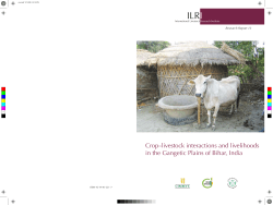 SLP_ResRep_12 - CGSpace