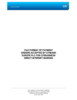 Payment orders file specification