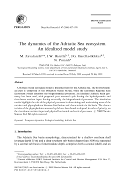 The dynamics of the Adriatic Sea ecosystem. An idealized model study