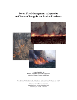 Forest Fire Management Adaptation