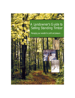 A Landowner`s Guide to Selling Standing Timber