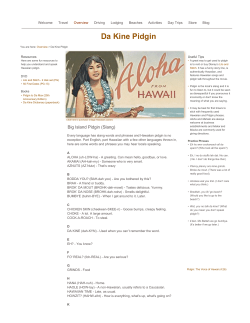 Da Kine Pidgin - The Big Island of Hawaii