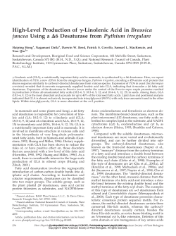 High-Level Production of -Linolenic Acid in